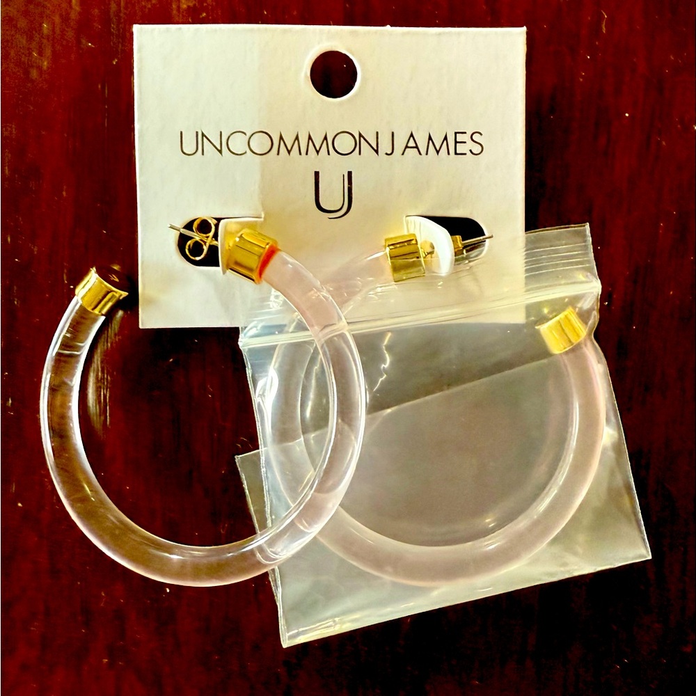 Uncommon James Pink Resin Hoop Earrings NWT